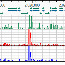 ChIP-Seq-Data-Analysis-Step-4 ChIP-Seq Data Analysis Step 4